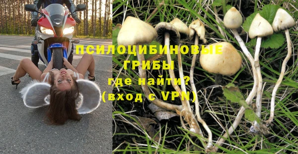 mdpv Балахна